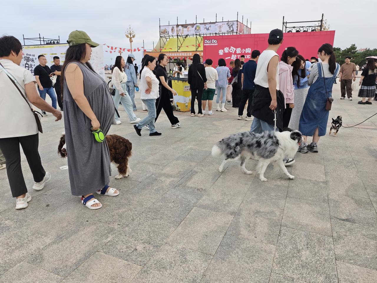 烟台真的是一个充满爱的城市！今天来莱山区路过黄海明珠，这里正在举办一个Pai P