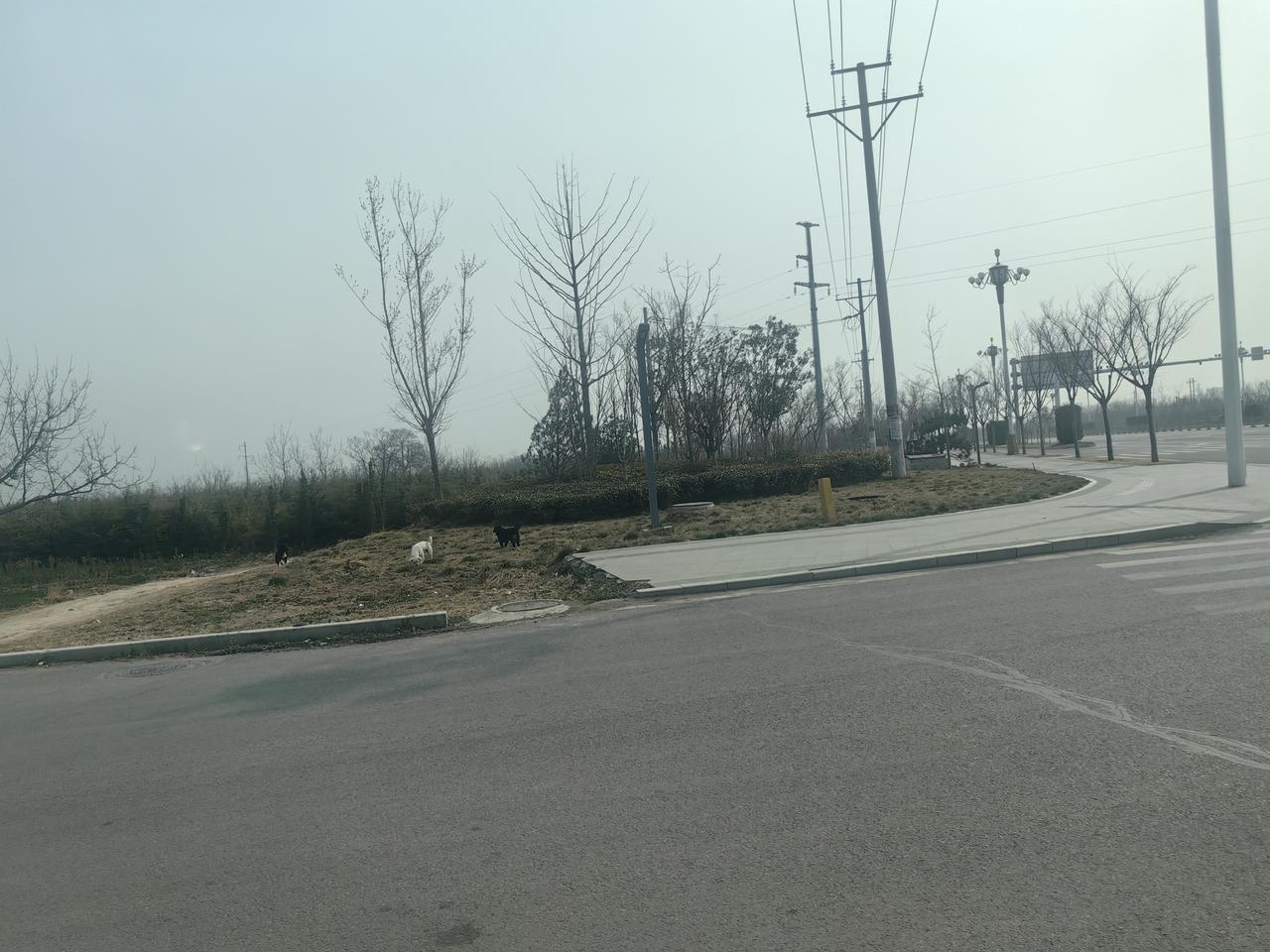 分享一张你最近随拍的照片