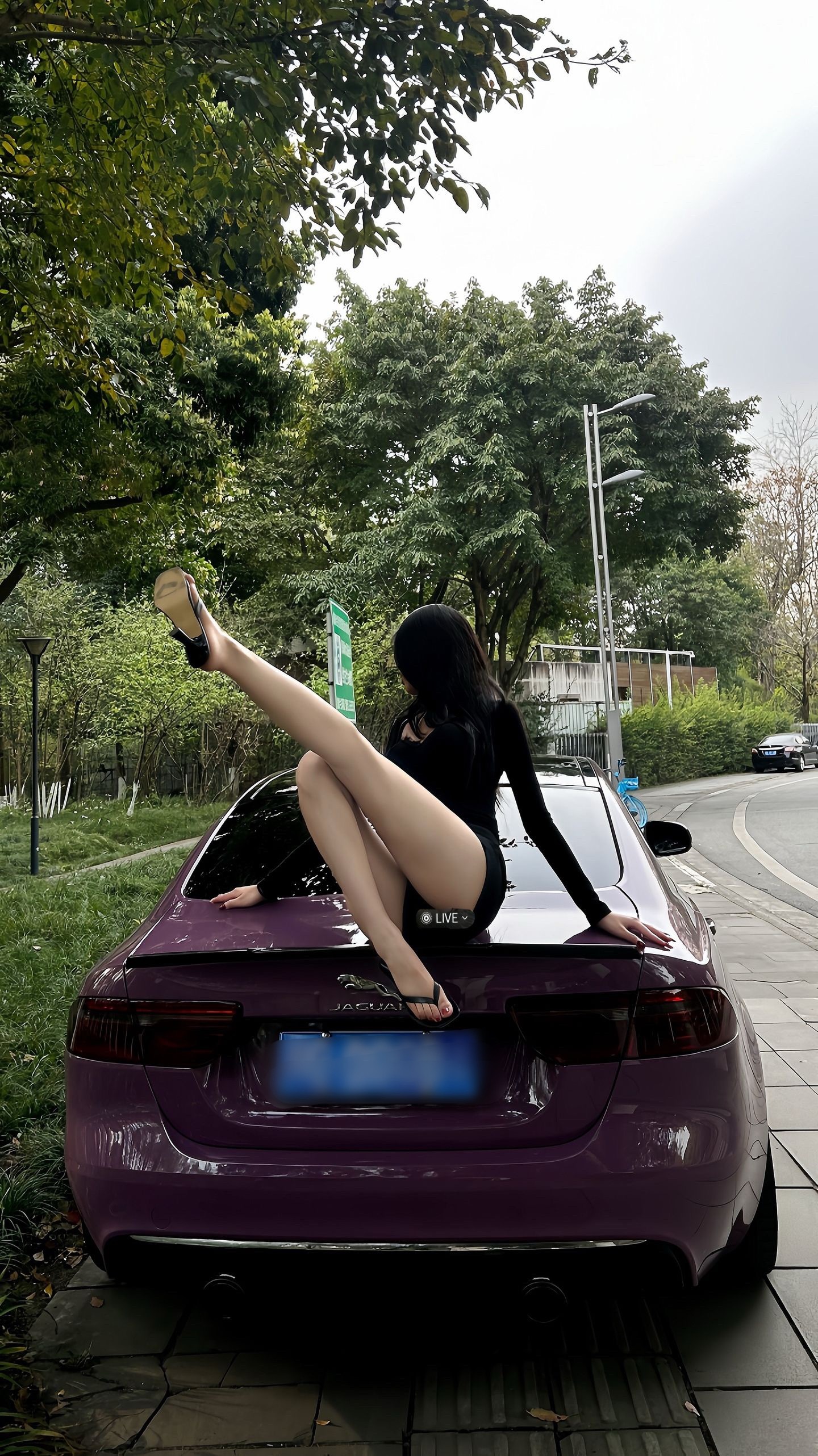 捷豹贴紫色也蛮好看的 