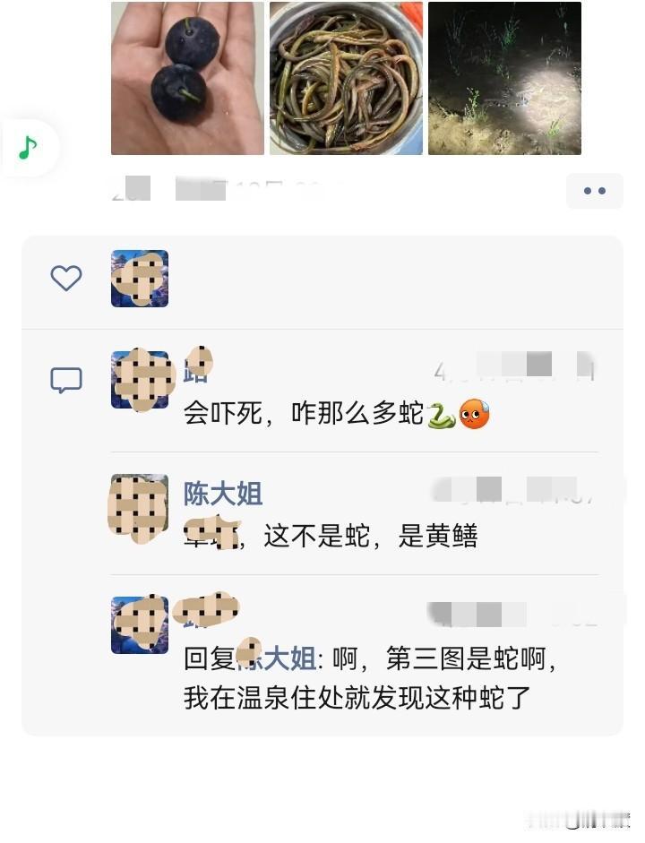 赴约

今天受邀去大姐家玩，我特意发消息让她到大门口等我。

她发来个不可置信的