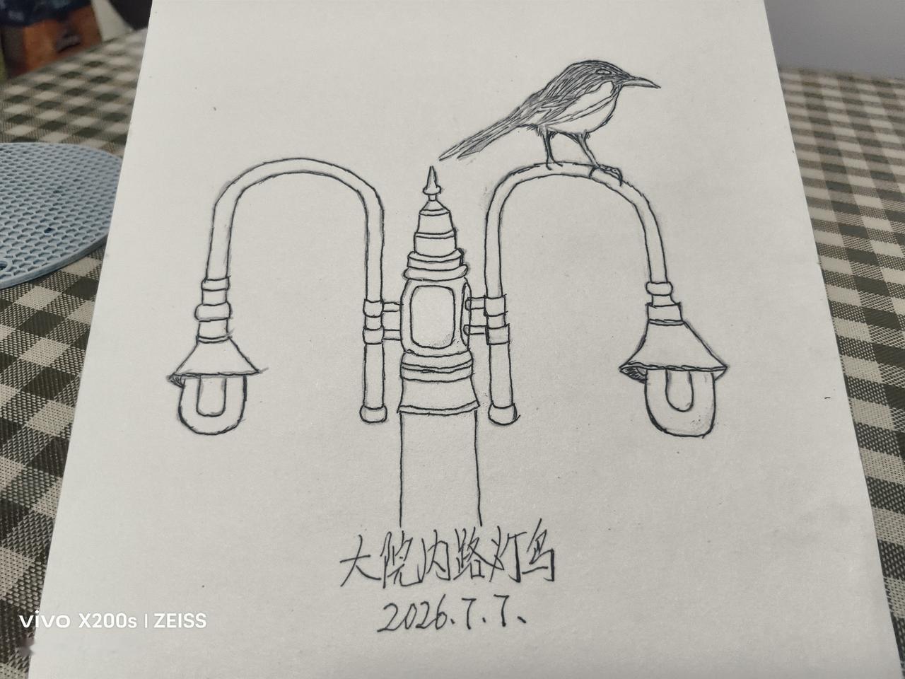 小鸟驿站
         大院内各类小鸟都喜欢到路灯上小憩，不管是飞累了、寻找