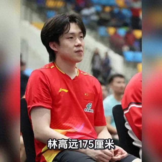 王楚钦现在是国乒最高的吗