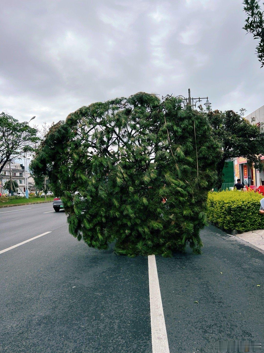 路上的路上见江湖的江湖见 