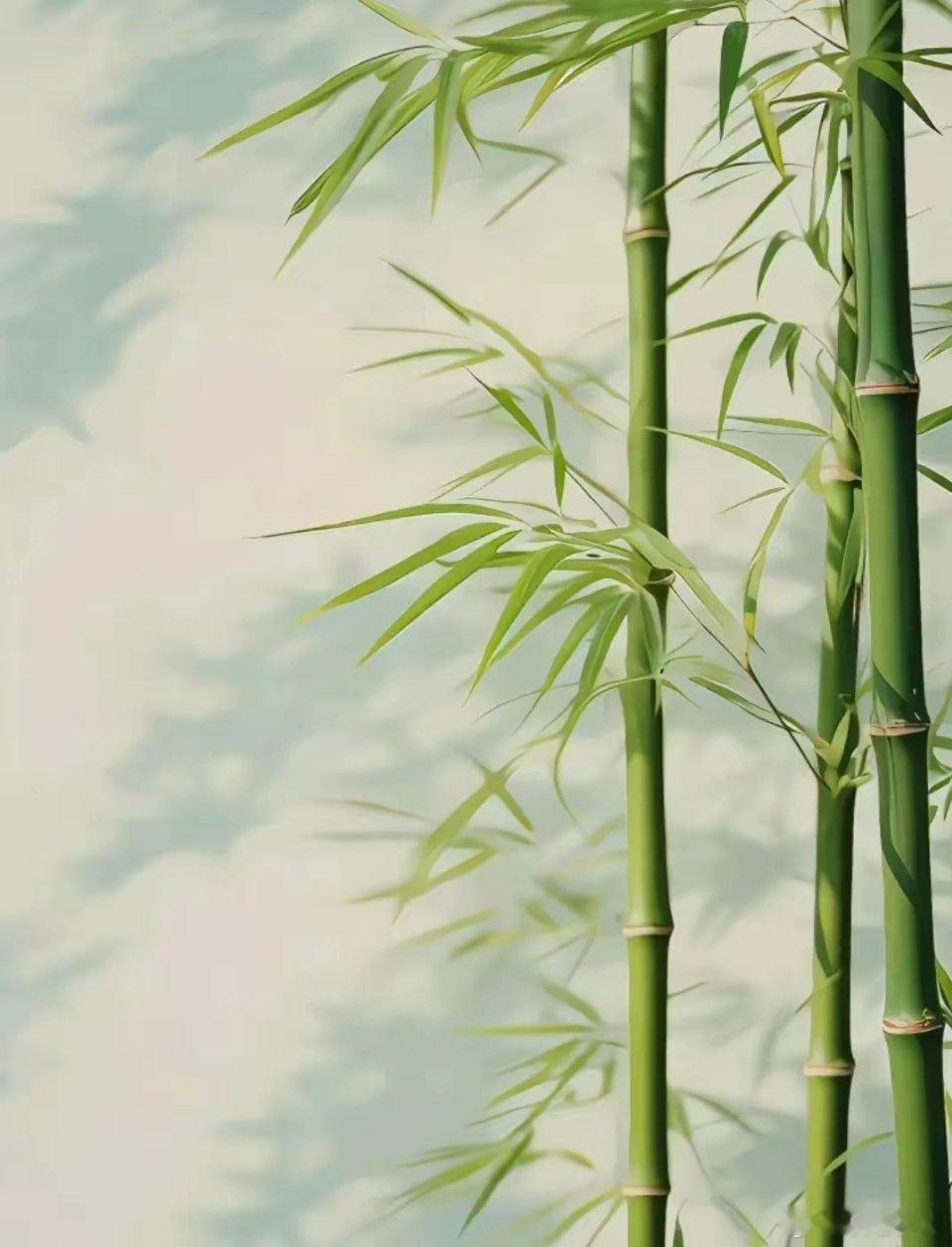 各位你们一定要记住你的首要目标是：​第一：赚钱。钱能解决你生活中90%的问题，另