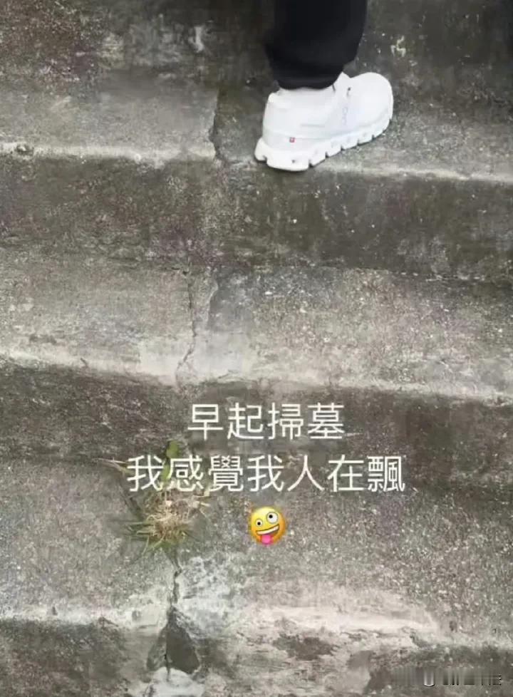 何超莲，评论区沦陷了！

4月4日，何超莲给父亲扫墓，并发文分享感受：“早起扫墓