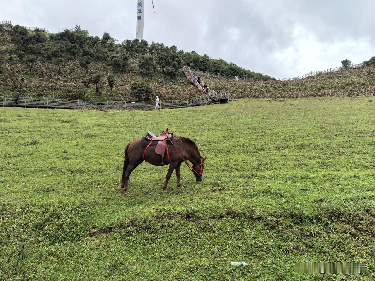 很久没有出去玩了，今天来到离家10多公里的地方走走，拥抱大自然，简直心旷神怡。