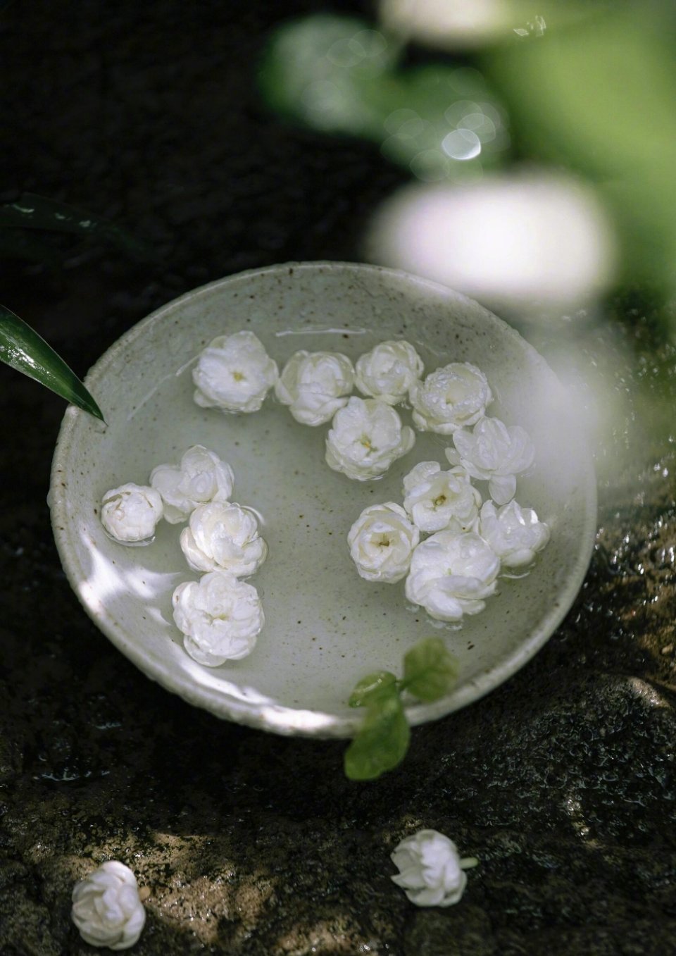 茉莉香魂 