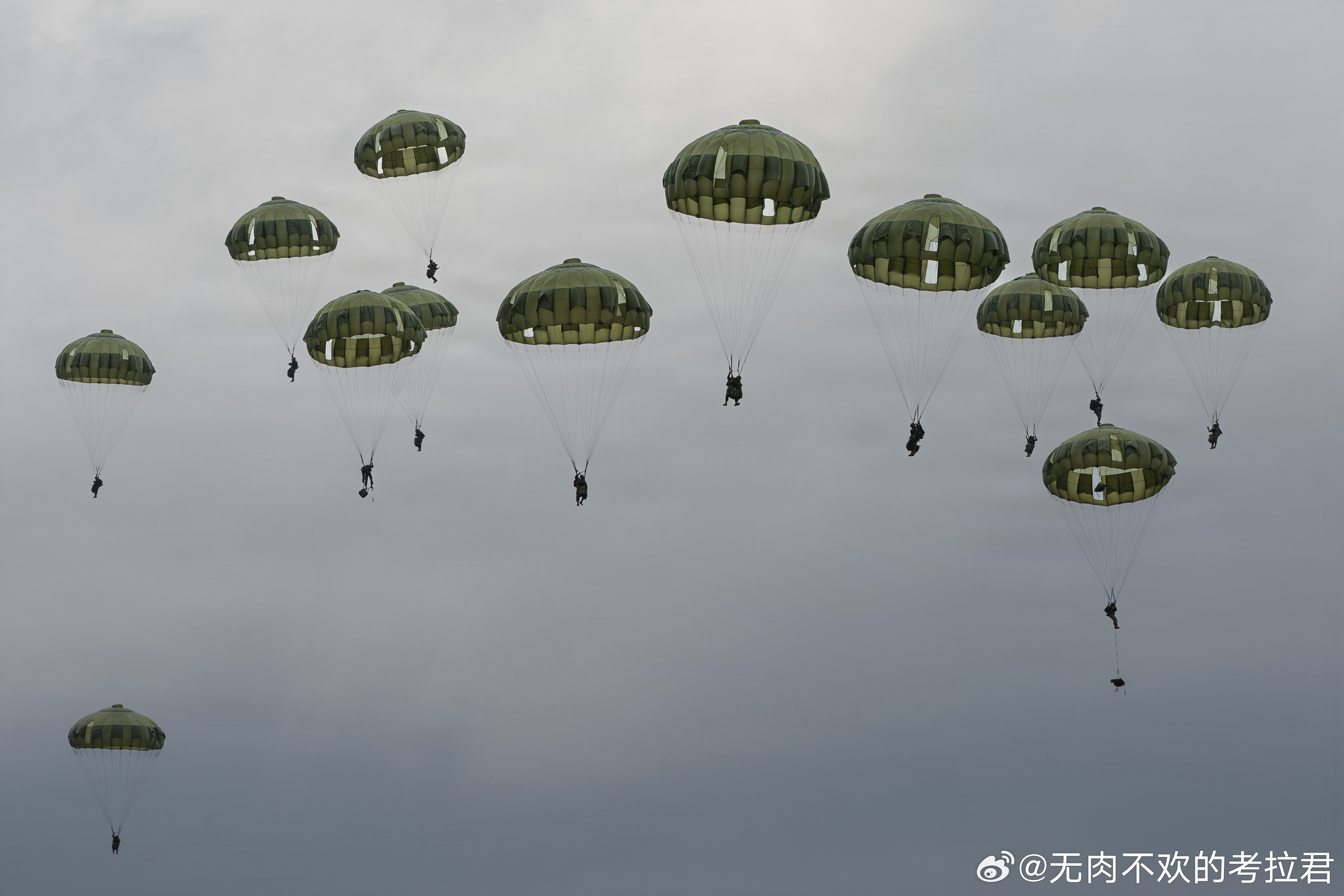 霓虹第1空挺团在静冈县 