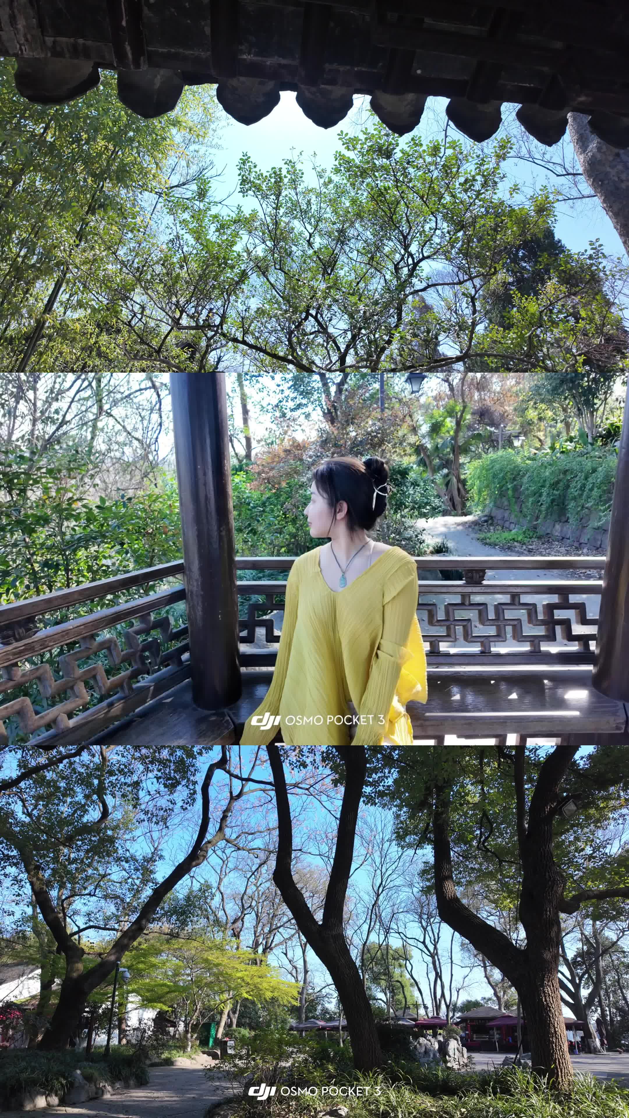 时间不语却回答了所有问题