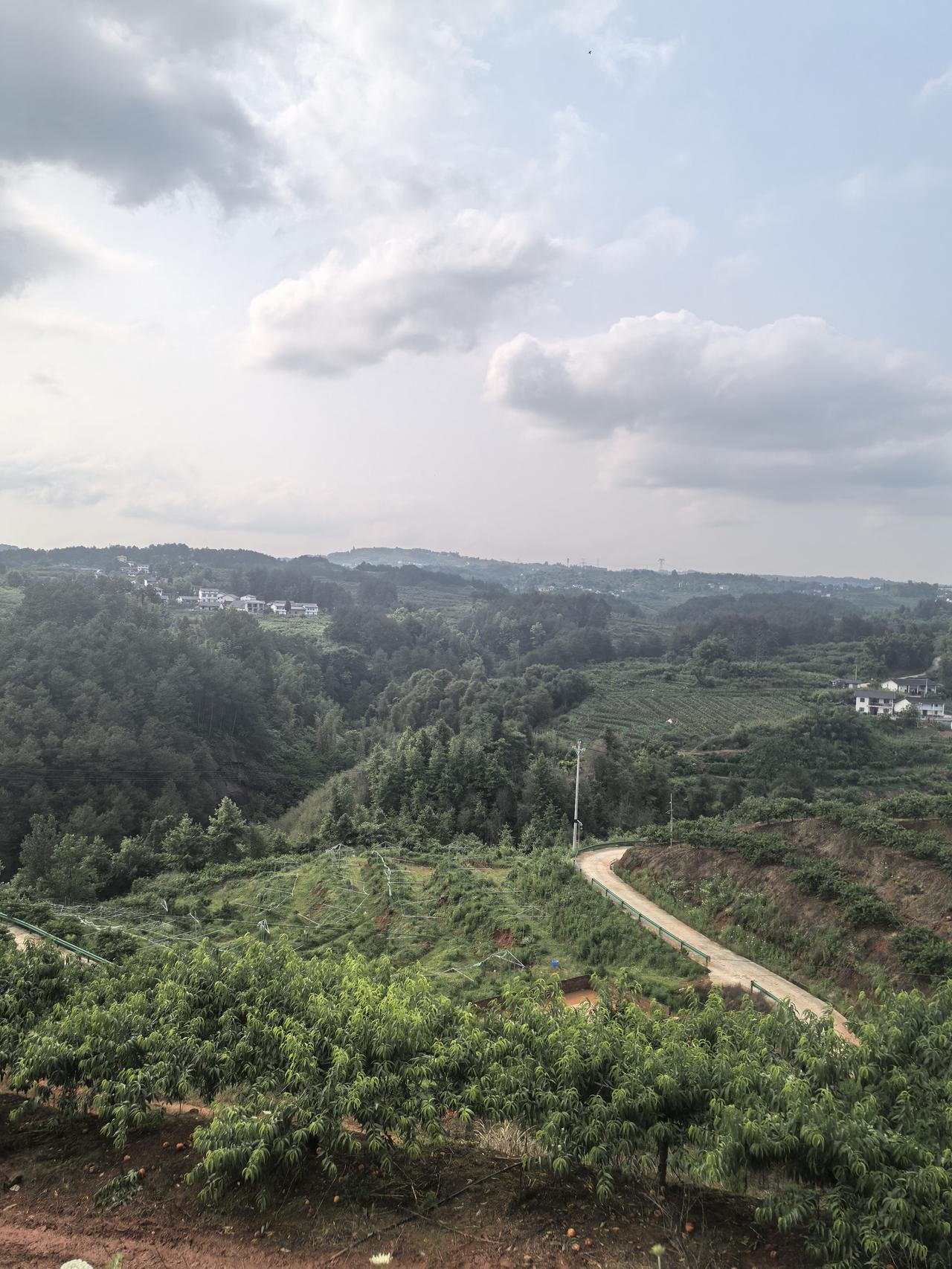 分享一张你随手拍的风光