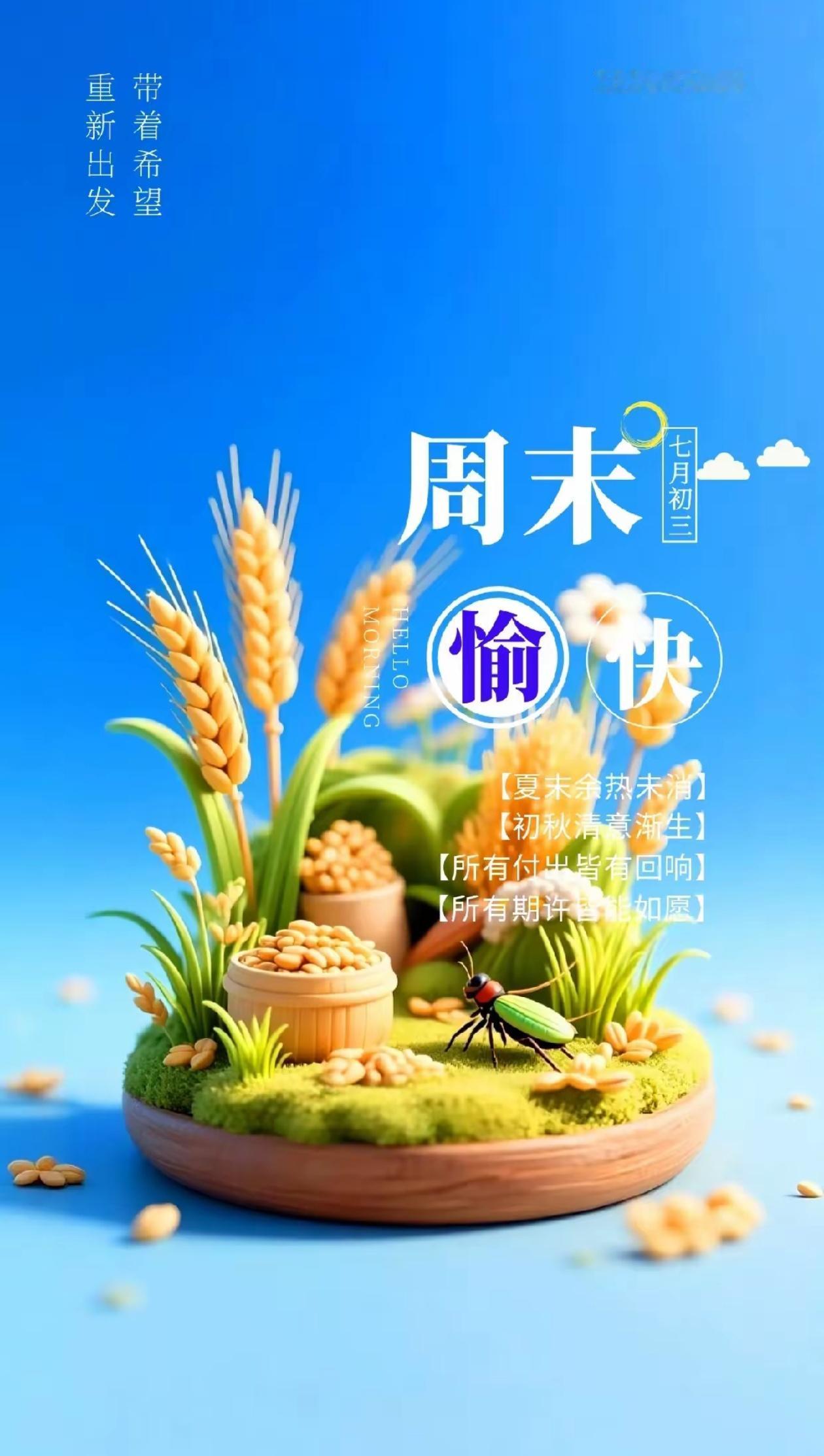 秋晨寄语，云淡风轻晨光温润，草木含香，秋意浅浅入怀。
2026./08.15.