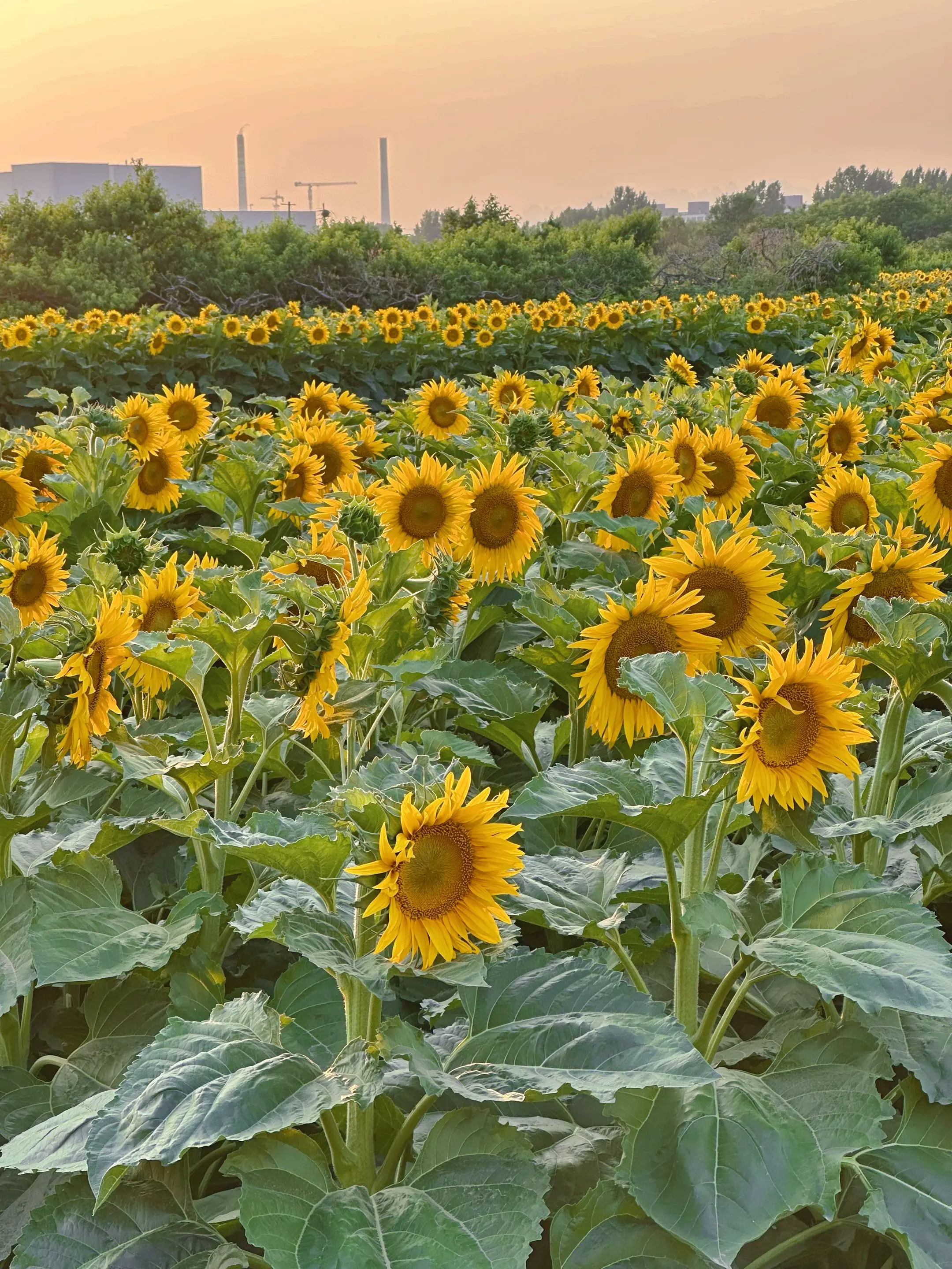 现在才明白，人不是到老了才会死的，而是随时都有可能会死，跟多大岁数没关...