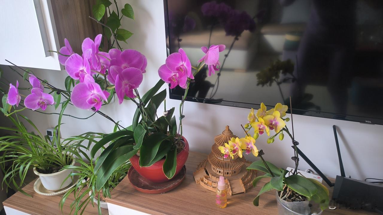 幸福的家庭，必备的3大要素是双向奔赴的信任、好好说话的底气和烟火日常的联结。
