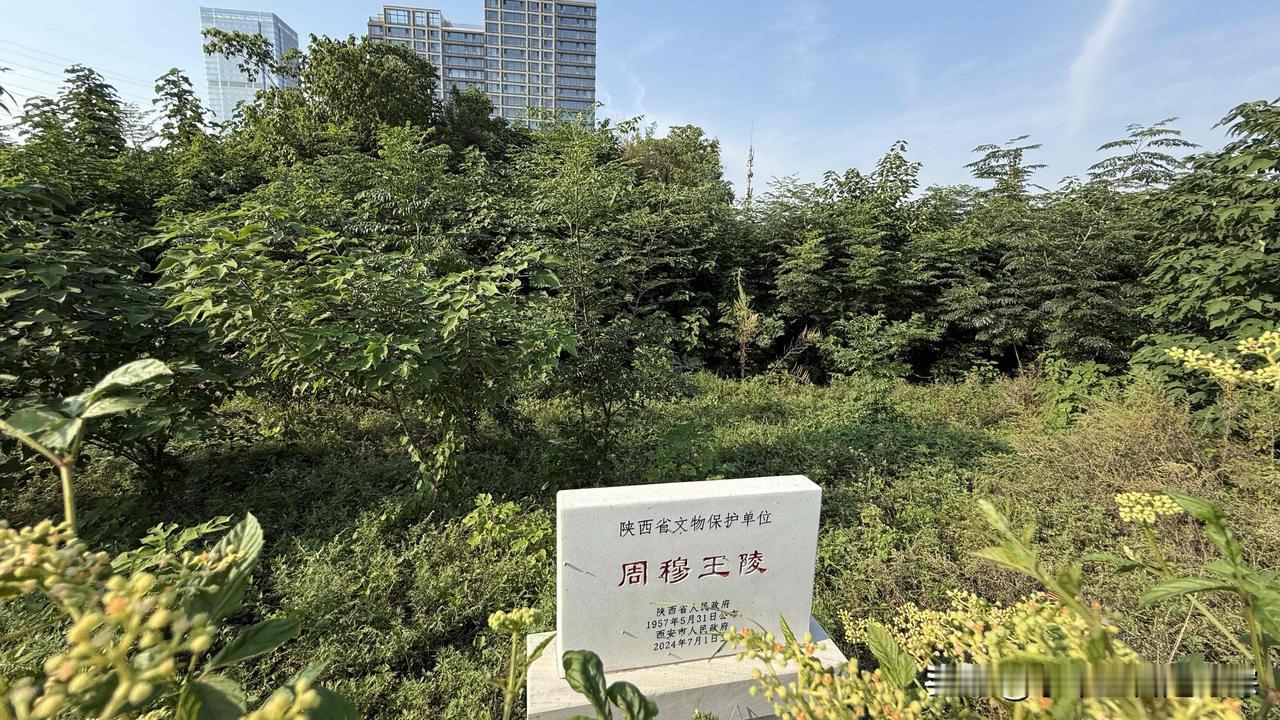 现在陕西留存的、俗称 “周王陵” 的封土冢，全部是后世相传、未经考古证实的纪念性