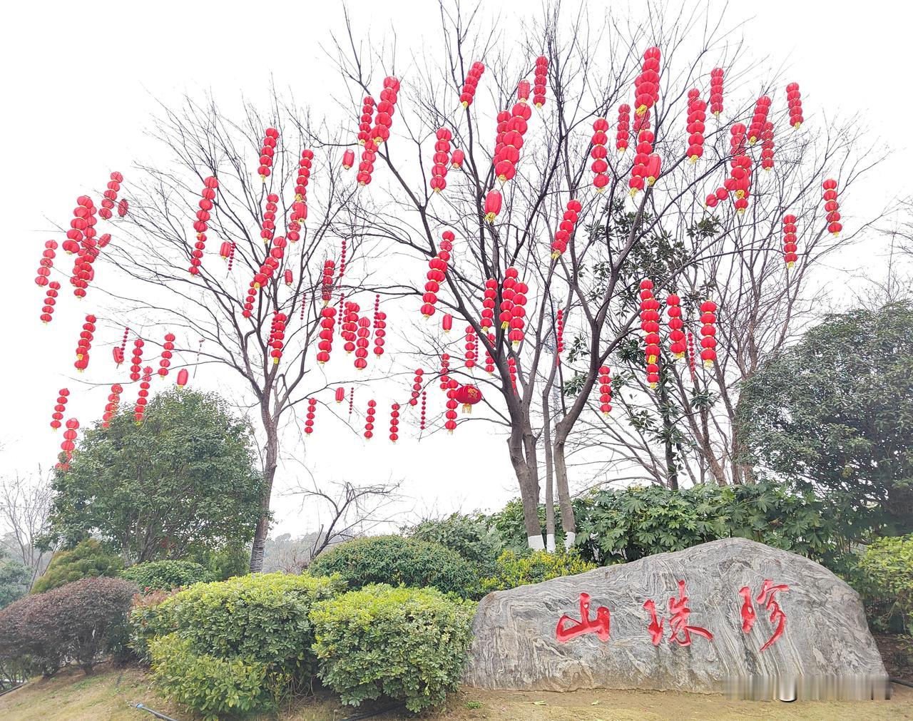 快过年了，公园、小区开始装点年味了。我觉得，缺少烟花爆竹，年味就差了一大截。过年