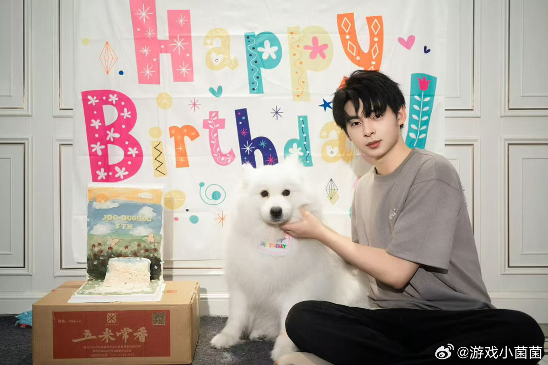 被伞兵发的六岁多肉萌哭了伞兵晒出多肉六岁生日的画面，蛋糕搭配小狗出镜，整体氛围温