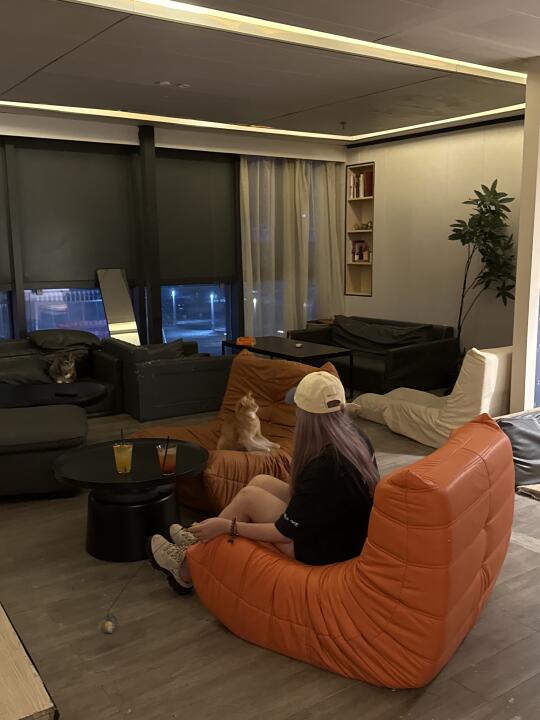 我家的猫会后空翻… 欢迎来玩