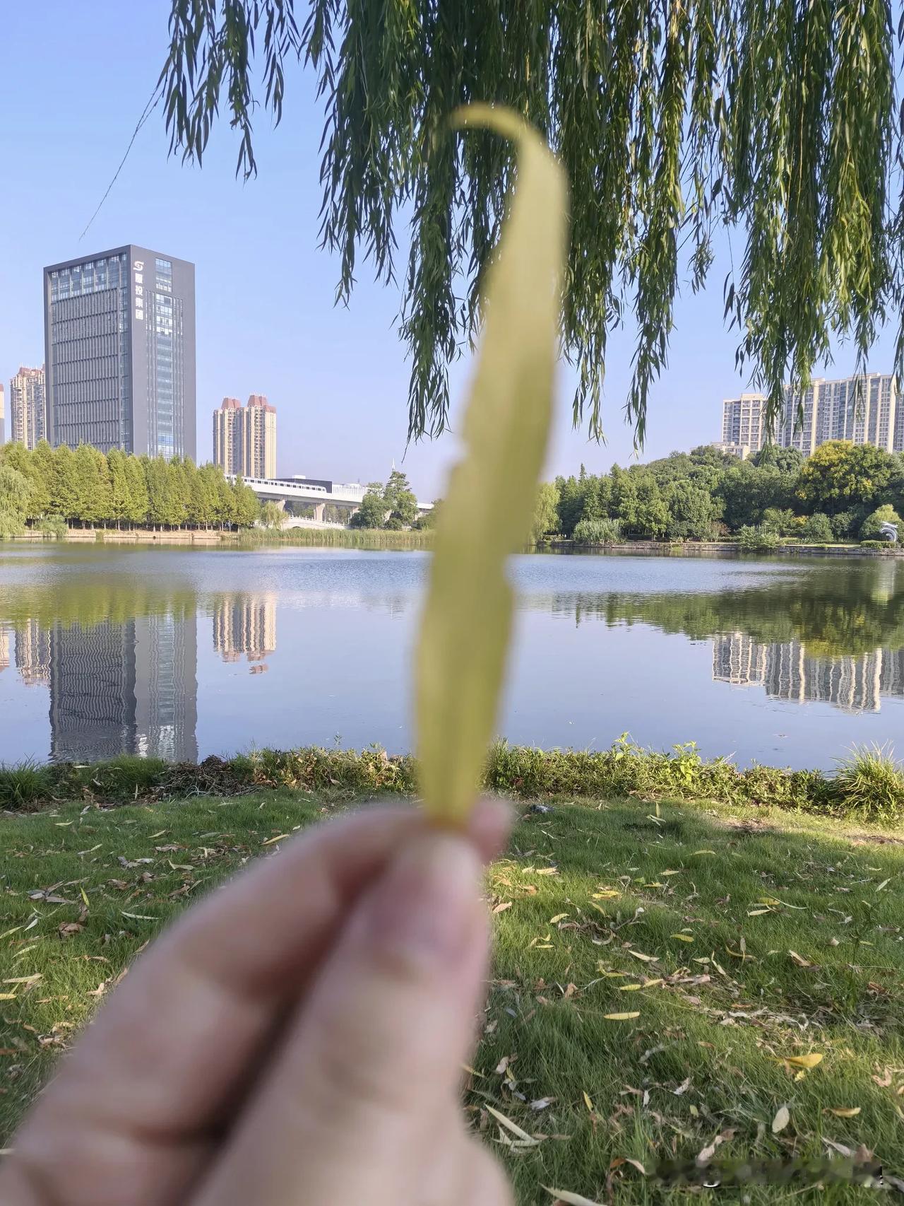 我今天照抄别人作业在微信上操作，这样省得跑到劳动监察大队线下窗口，也省了打印证据