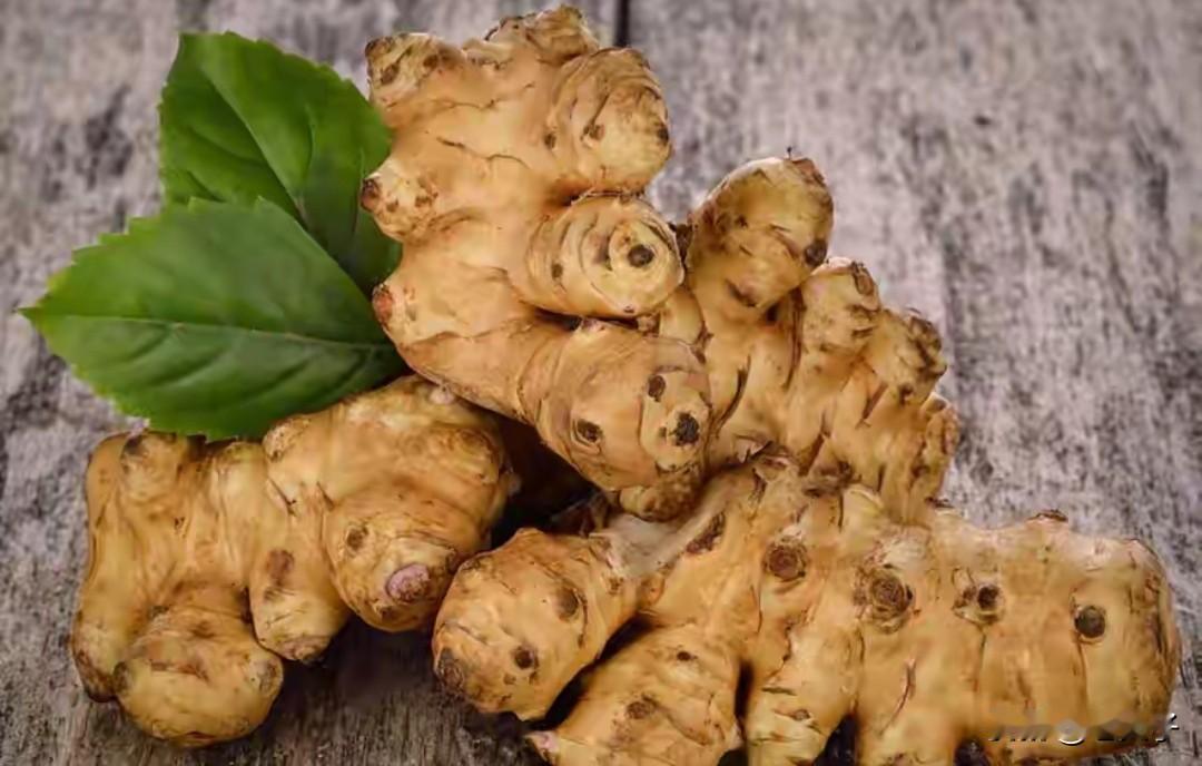 东北方言之（674），鬼子姜：
是一种植物，块茎长得有点像生姜，但是不辣，植物的