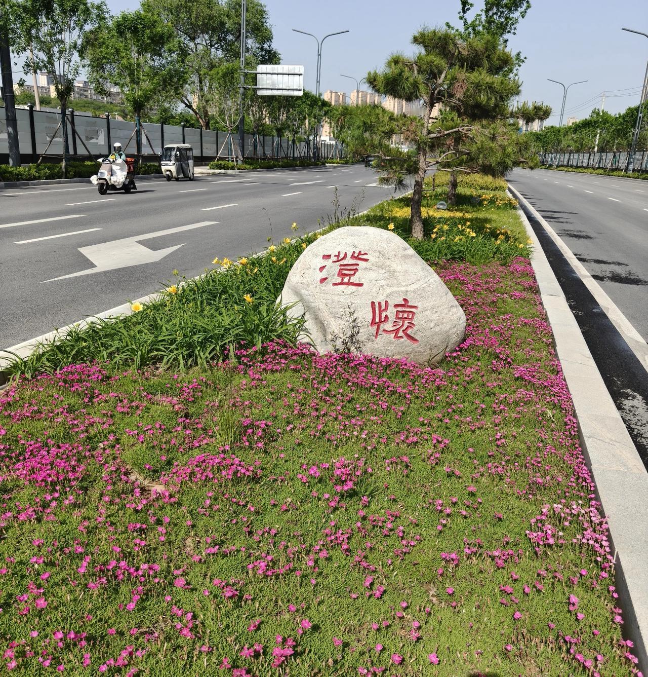 我发现自己文化水平太低，走到哪里看见字，脑子里怎么想都不知道是什么字？你们说，这