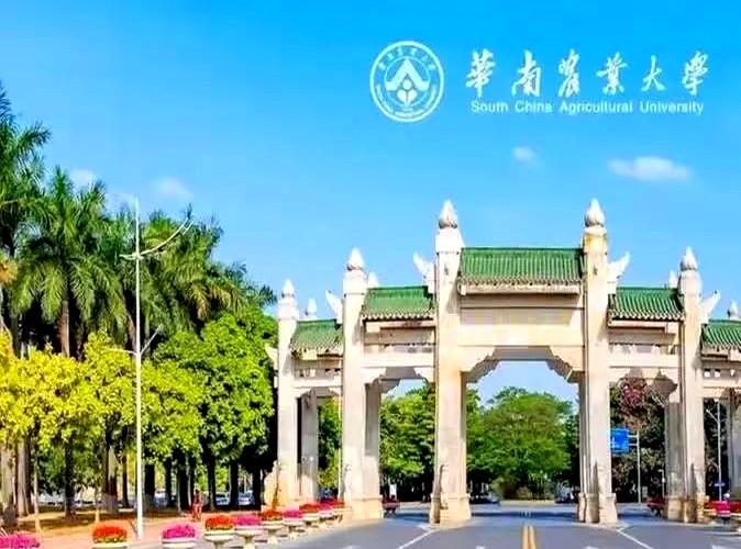 2026年华南农业大学本科招生规模迎来扩容。
华农直接把温氏、长隆的老师都请来上