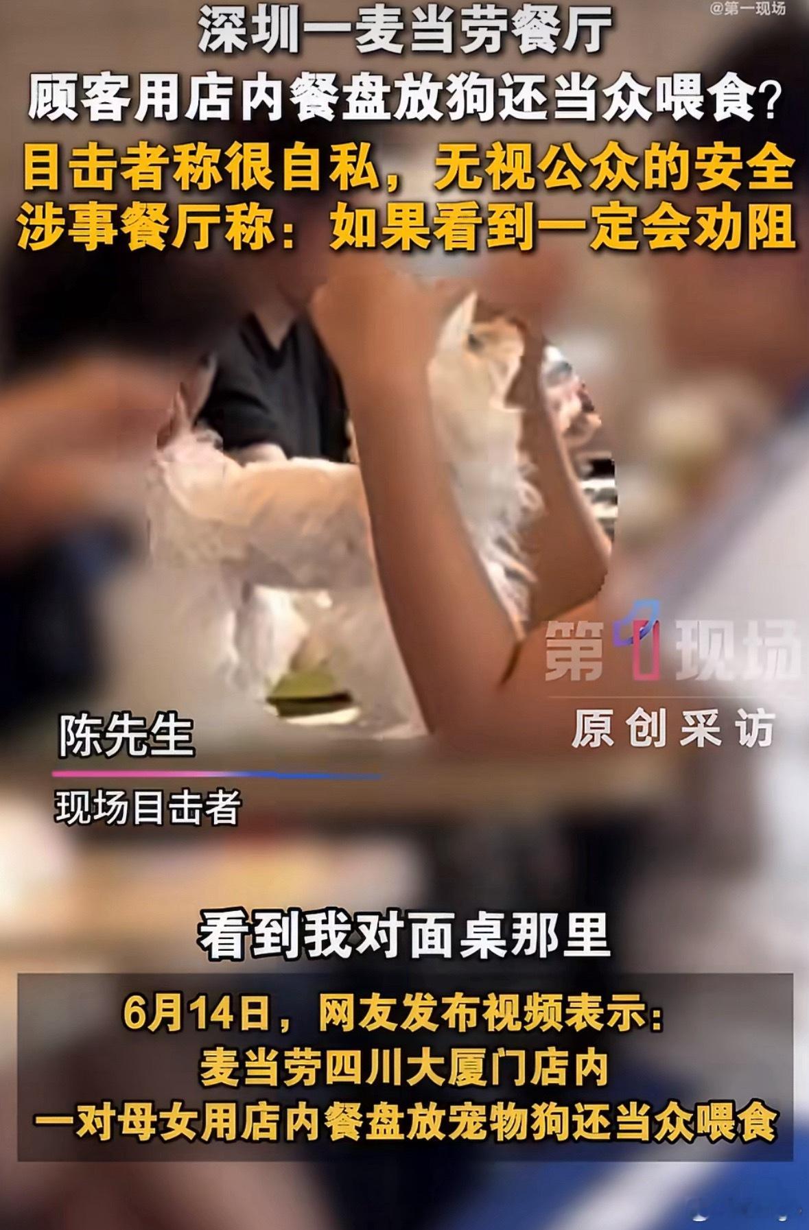 母女在麦当劳把狗放餐盘里当众喂食餐厅能不能把“宠物友好”直接挂出来啊，大家都省心