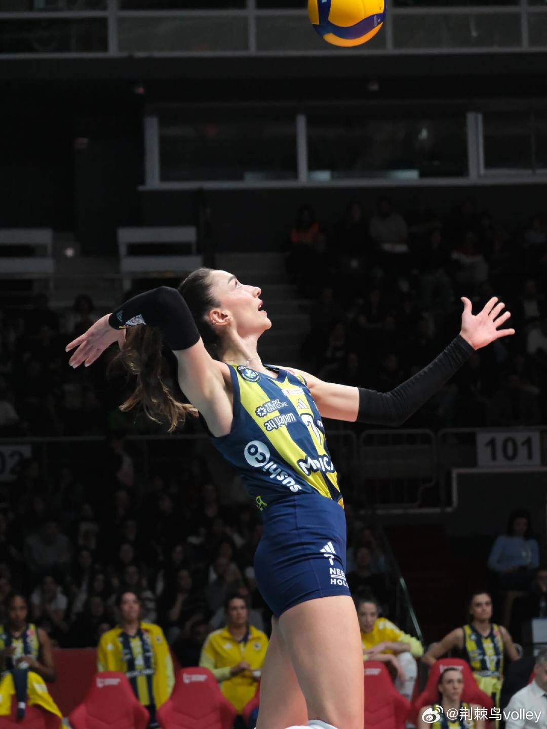 【土超女排】半决赛首回合，费内巴切客场3-0（25-17 25-22 25-19