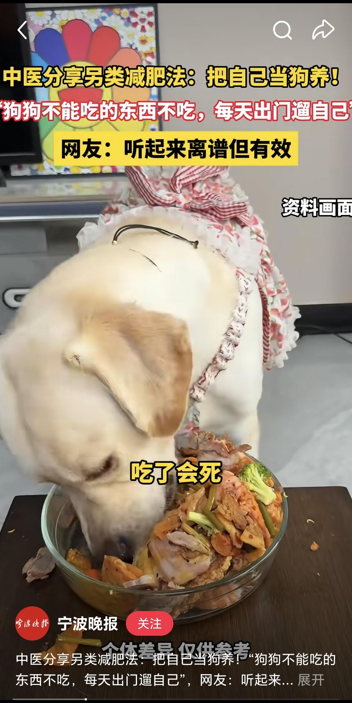 太有趣了吧！这个小伙子分享的另类减肥方法，把自己当狗养。虽然有点搞笑，但仔细想一