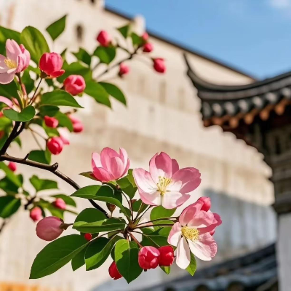 老了以后，这几件事一定不要做：

1、花钱大手大脚不攒钱。

老了以后手里有积蓄