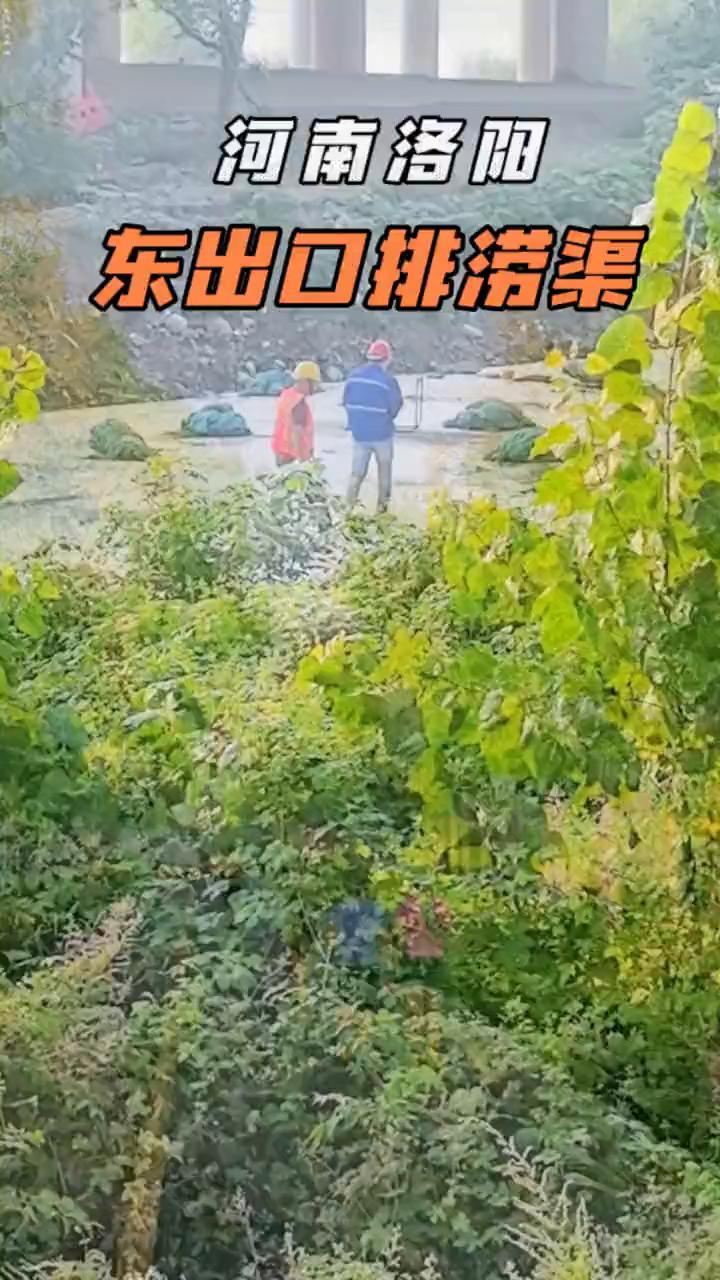 河南洛阳东出口排涝渠。
朋友们，这里是河南洛阳洛浦公园东段河堤，二广高速洛河大桥