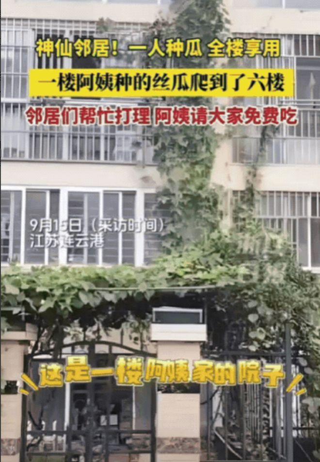 “这就叫独乐乐不如众乐乐吧！”江苏连云港，一楼阿姨退休后闲不住，在院子里随手撒了
