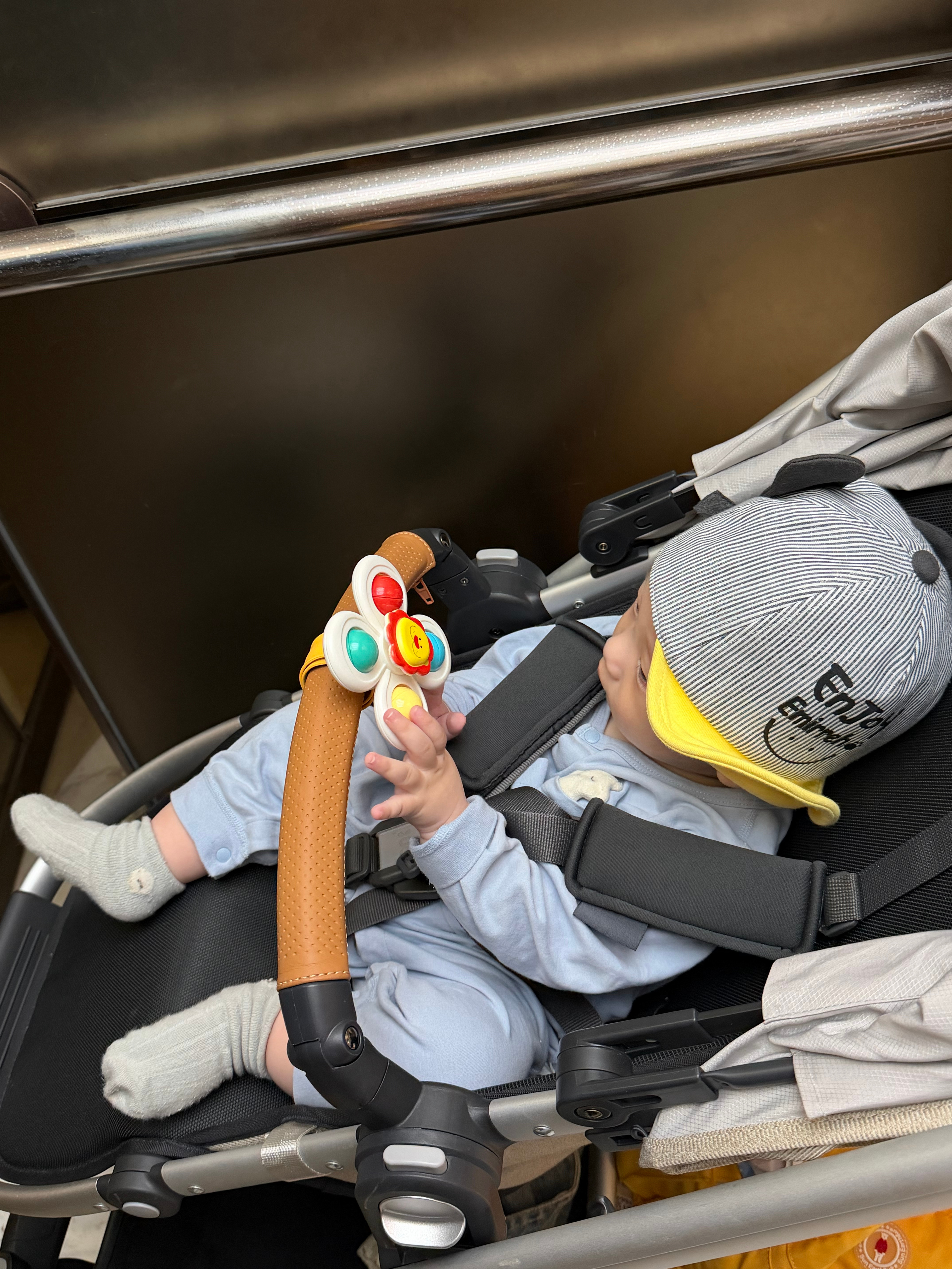 P1:为啥我腿上到处都是淤青P2:宝宝的小牙P3:苹果肉桂咋一股子中药味P4:我