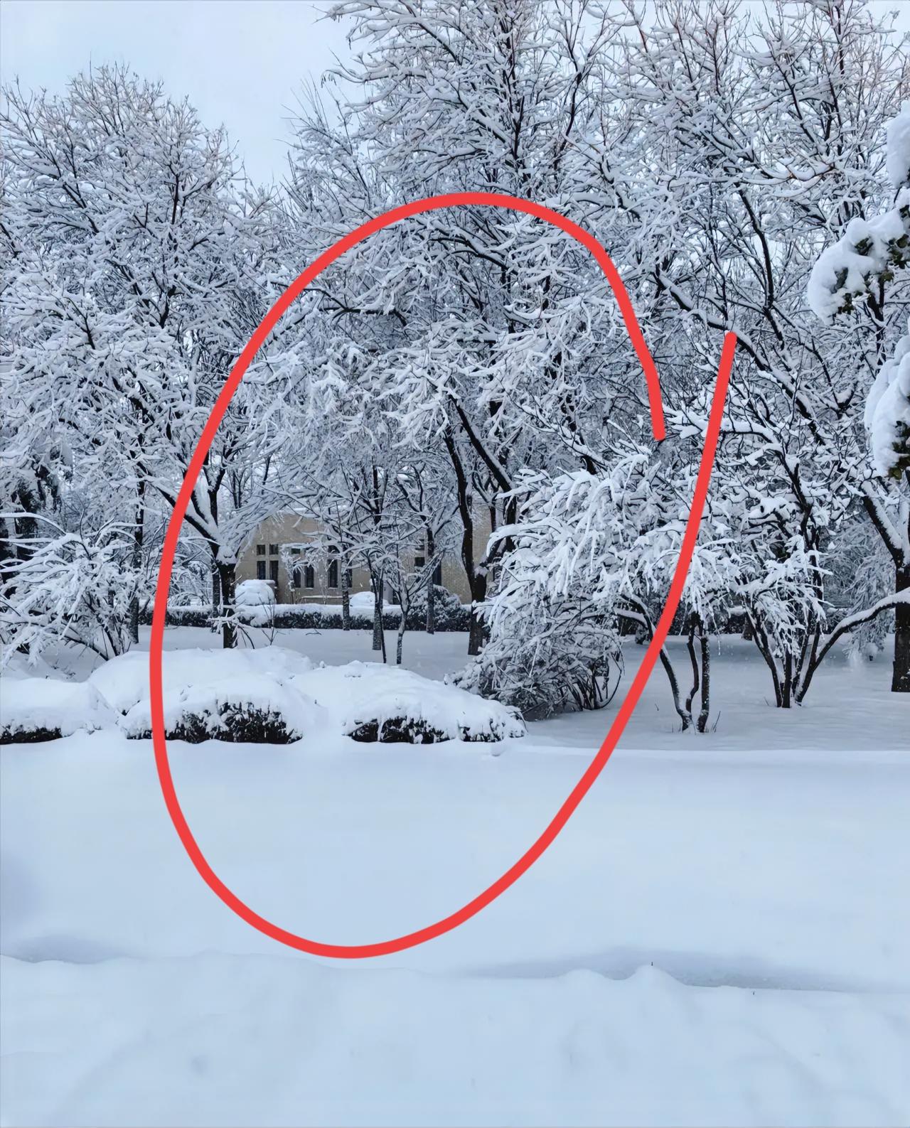 冻雨来袭，路滑得站不住脚，家里突然停了电。
南方多地这天气真够呛，2026年开年