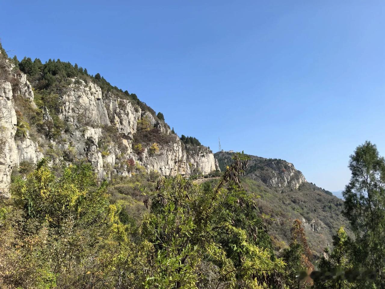 深秋时节，
翼云山更靓了，
虽然不是满山红叶，
但万绿丛中一点红，
别有一番景致