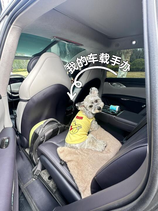 装上电池就可以动了