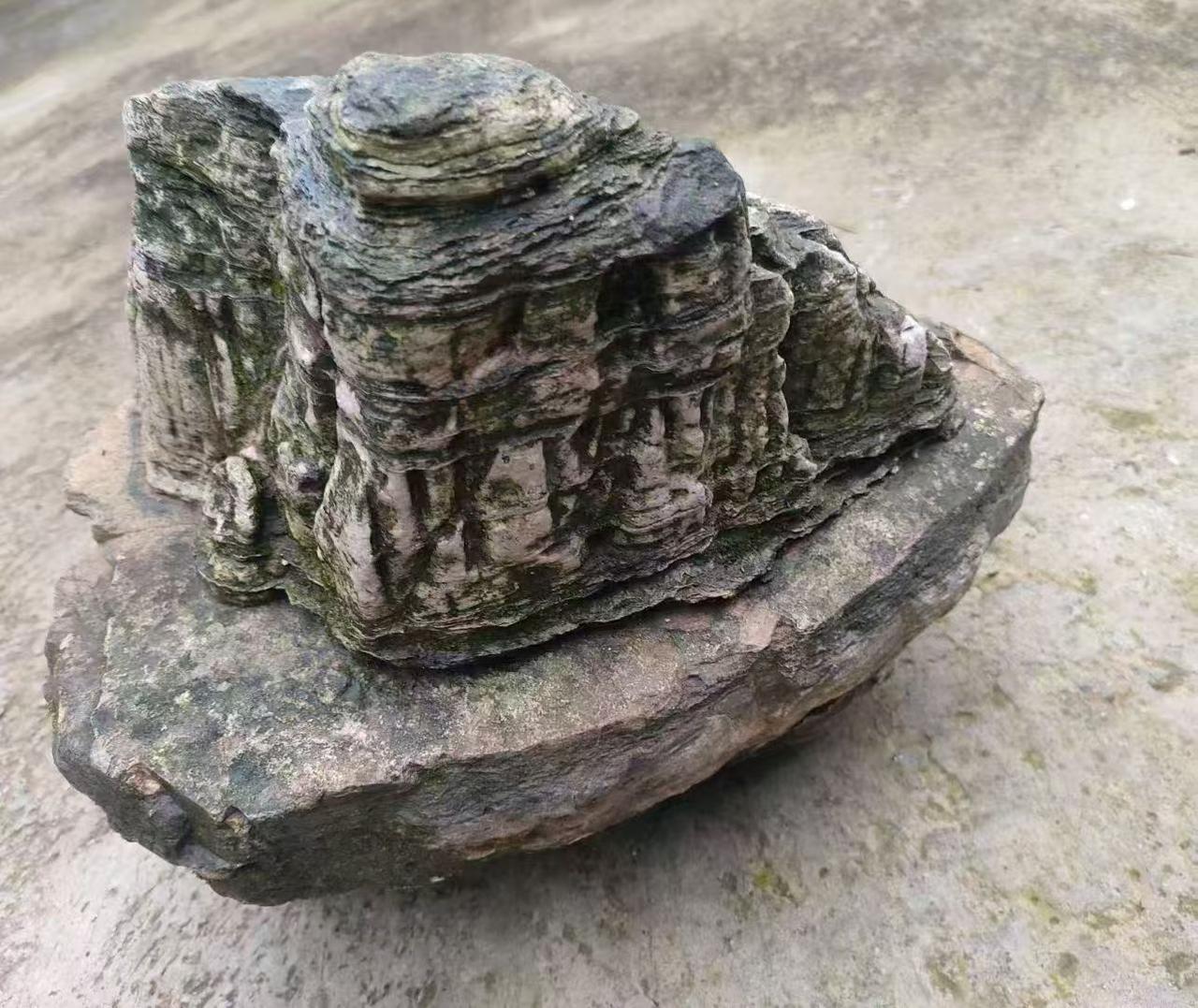 在哪里能够买到精品奇石许多的爱好奇石的友友们私信我，在哪里可以买到精品奇石啊？我