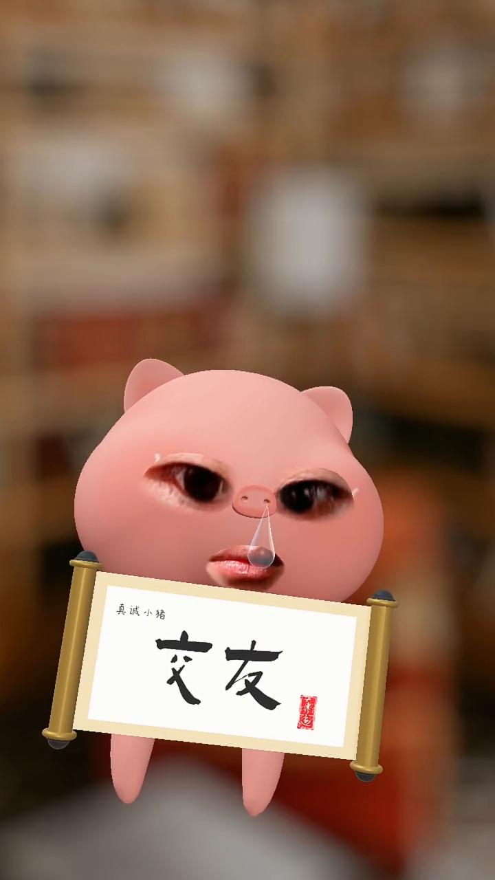 你管他三七二十一，坚持天天发抖音，不用管他火不火，发了以后看结果。这个时代已经不