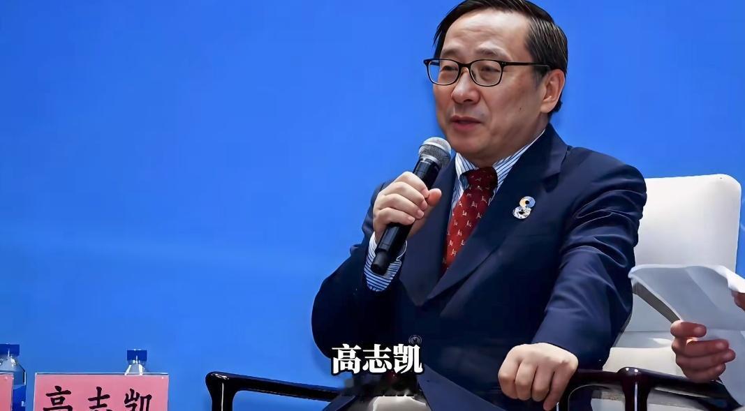 全球金融智库高志凯主任预测今年下半年至明年上半年将会爆发金融危机，而且是第三次预