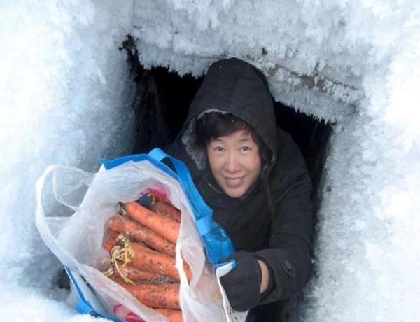 在东北那片银装素裹的土地上，冬天一到，农村的生活就变得格外有趣。尤其是那些“地下