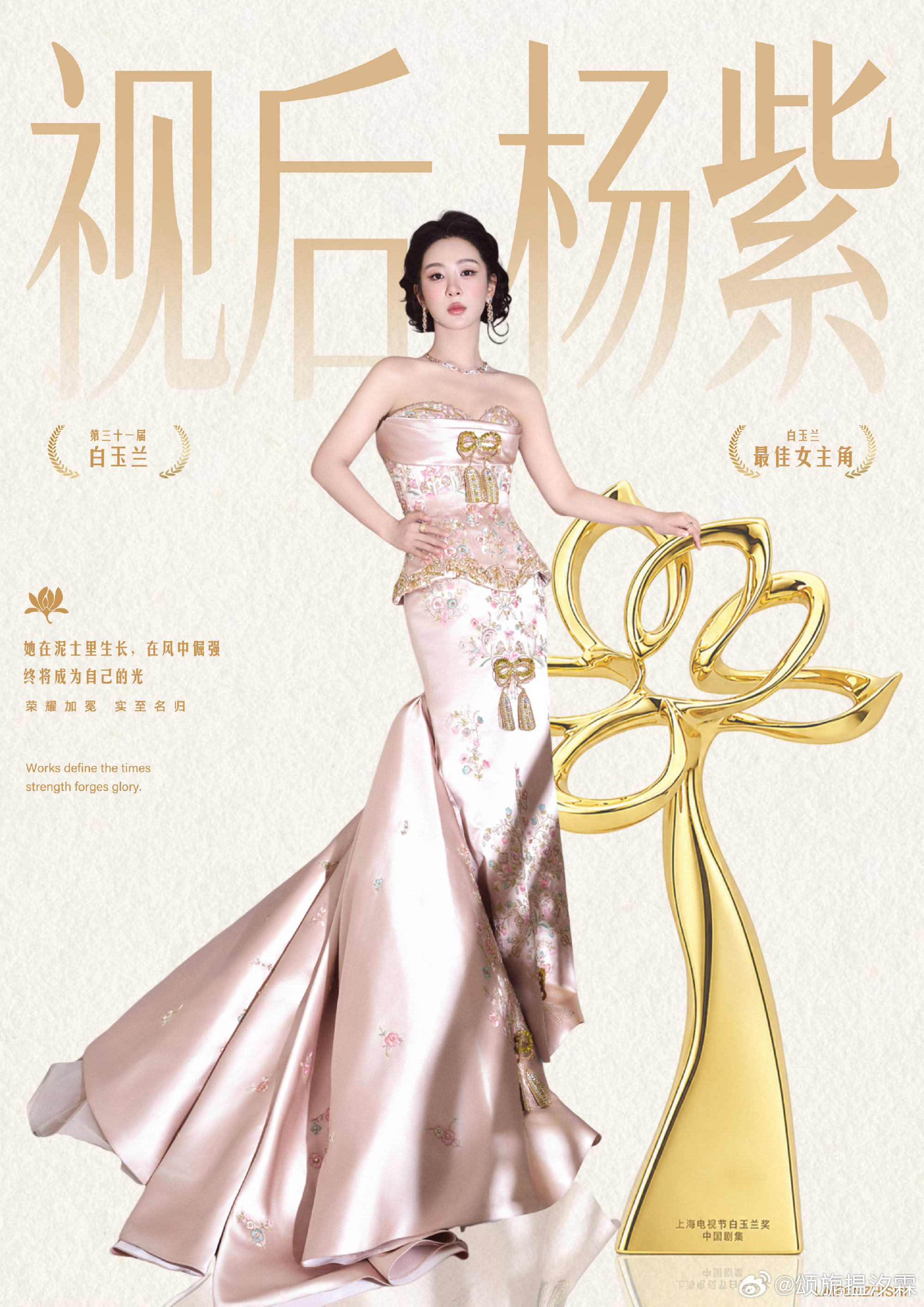 我把紫神最权威奖项海报传递全网杨紫白玉兰视后