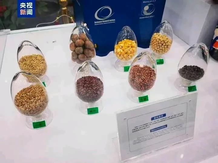 “太空种子”已交付：10月24日，国家航天局在京举办实践十九号卫星载荷交付仪式。