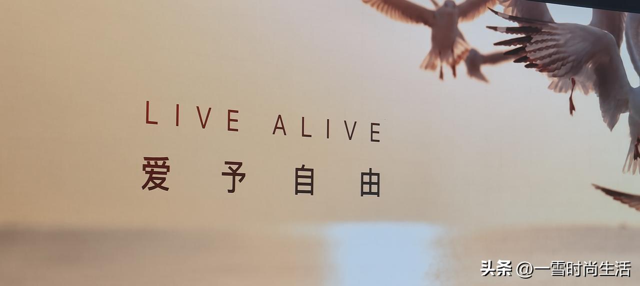AIVA提出全新造车理念：先做AI，再造车。
从用户日常出行的真实场景、用车习惯