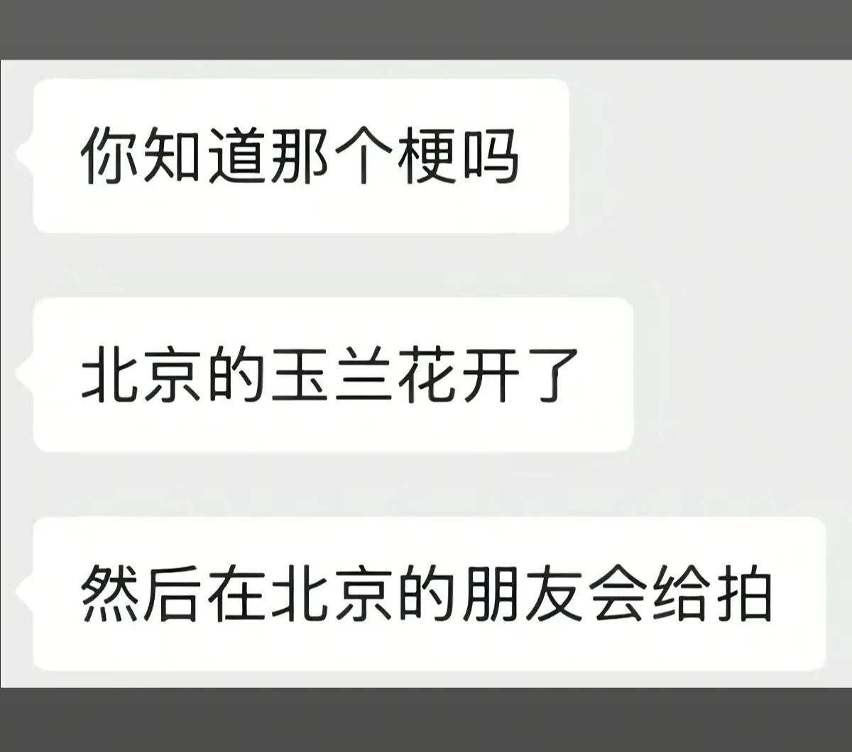 北京的玉兰花开了 恰好我有一个北京的好朋友  谢谢我的好朋友😭😭