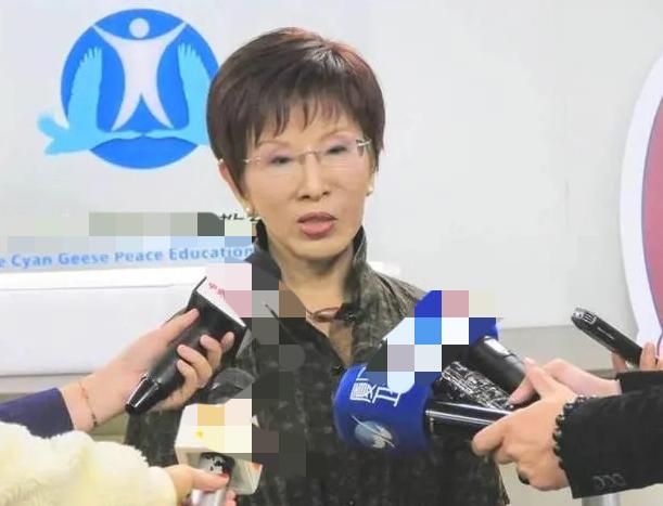 洪秀柱当面问：和平不谈统一，那和平给谁看？

郑丽文低头不接话，台下掌声稀稀拉拉