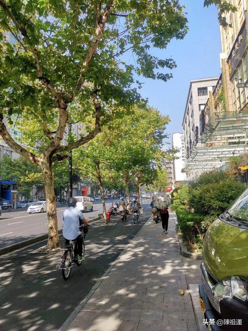 买了一份热乎的早餐，我来到附近的公园。公园里晨练的人不少，有打太极的老者，动作舒