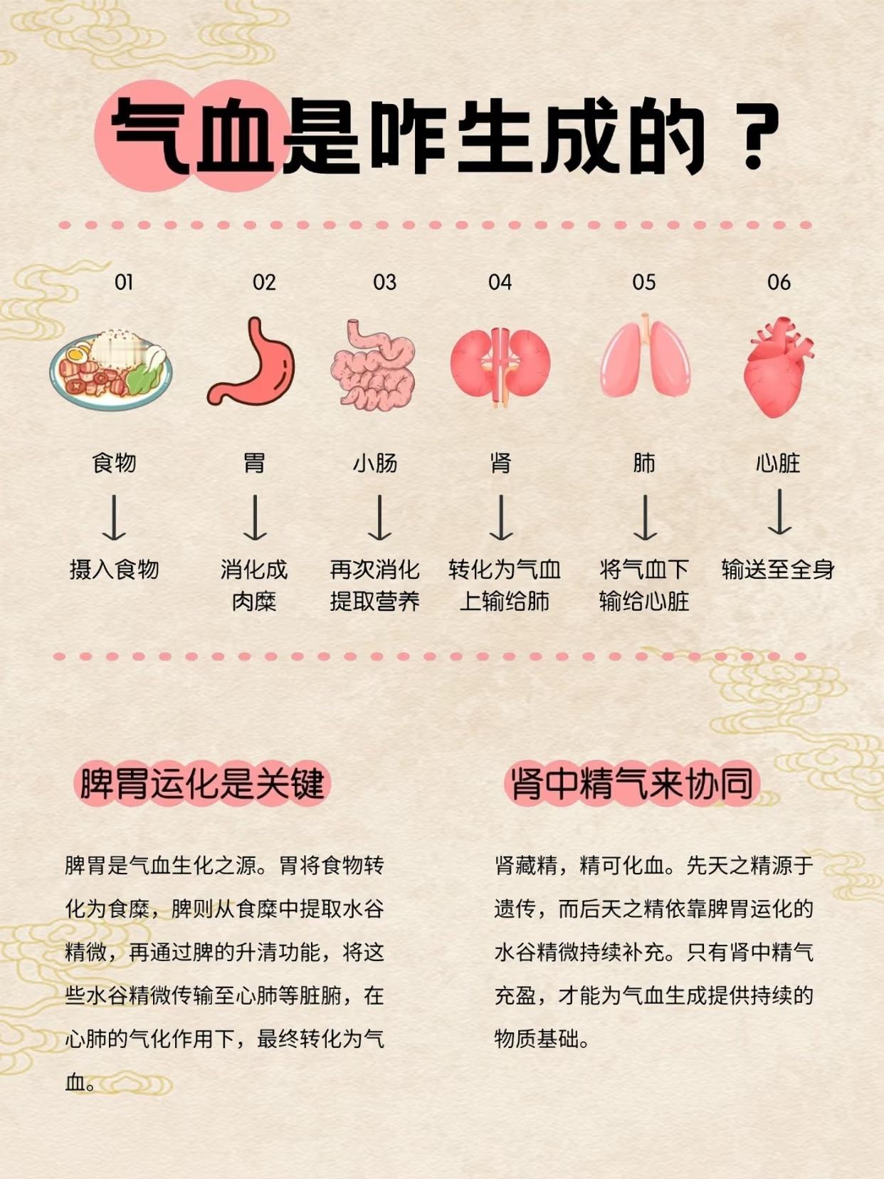 很多人意识不到气血是补不回来的 最好的办法还是不熬夜、多运动、饮食均衡、多吃蔬菜