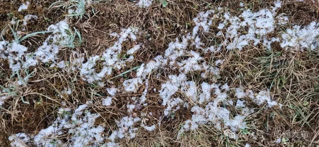 4月17日20时35分左右，昭阳区洒渔、乐居、苏家院、苏甲等乡镇出现短时强降水、