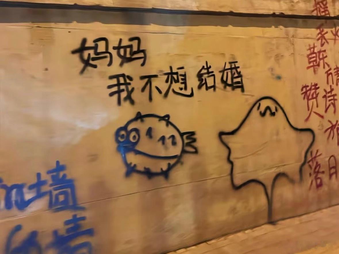 当我问我妈不结婚可以吗，我妈会说看你自己，想结就结不想结就不结，家里又不是养不起