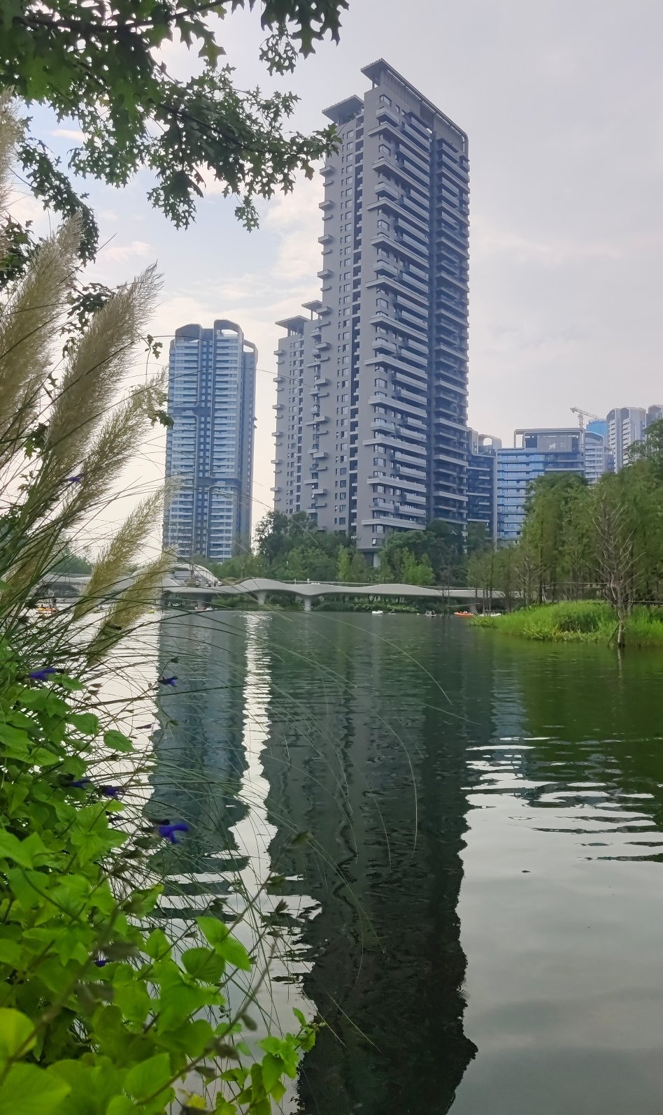 经梓州大道前往麓湖，感叹于路上连片闲置的新小区和写字楼，开阔的八车道旁杂草丛生，
