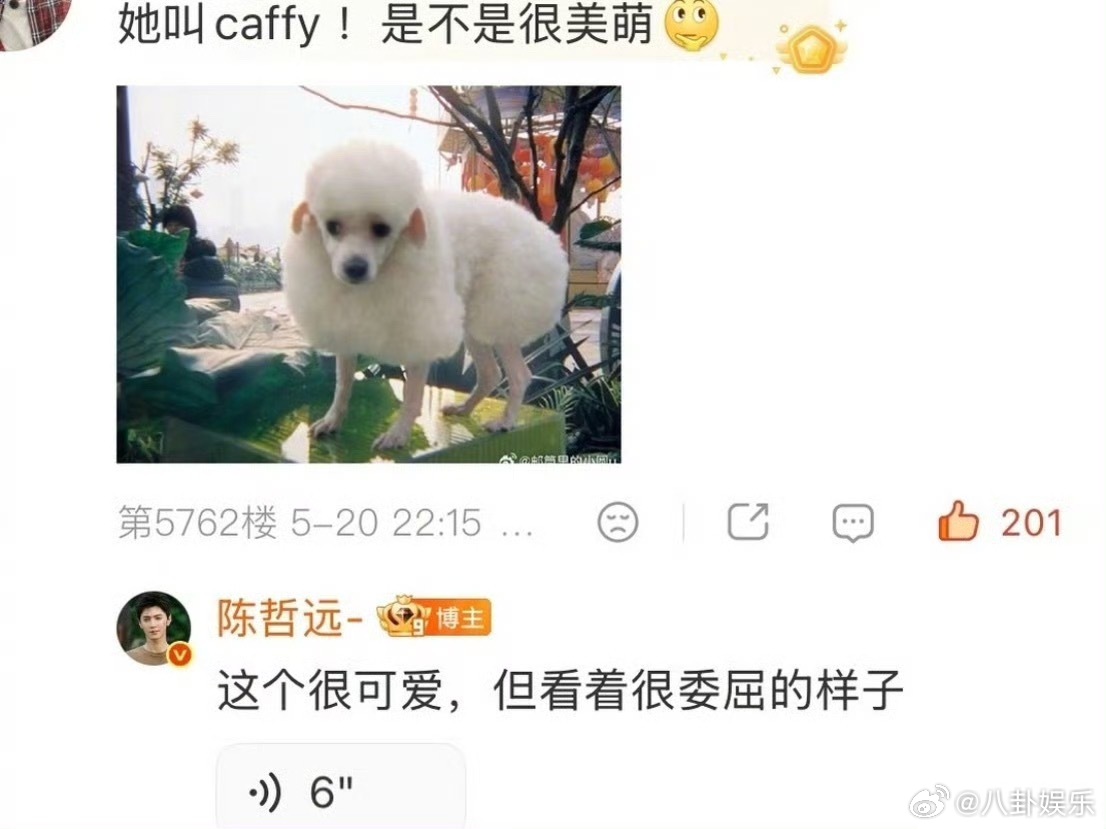 陈哲远说陈奕恒的狗很可爱陈哲远520语音翻牌，结果火了一条狗 他说陈奕恒家那只比